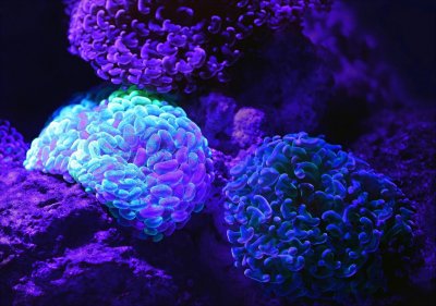 ​天桥脑科学研究院资助的首个中文脑电图数据集研究项目登上《自然》子刊