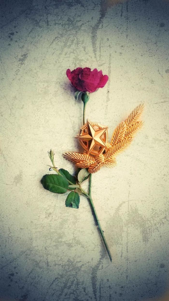 军旅壁纸 | 什么是柔情与铁血？这40张原创美图为你诠释