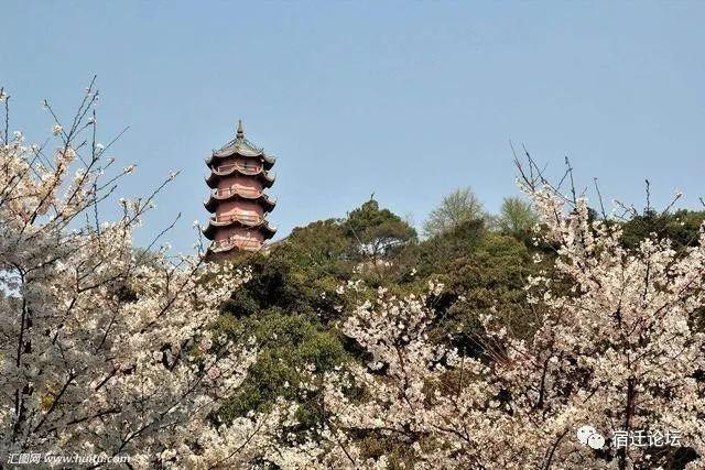 宿迁城市标志性建筑，这里有准确答案！