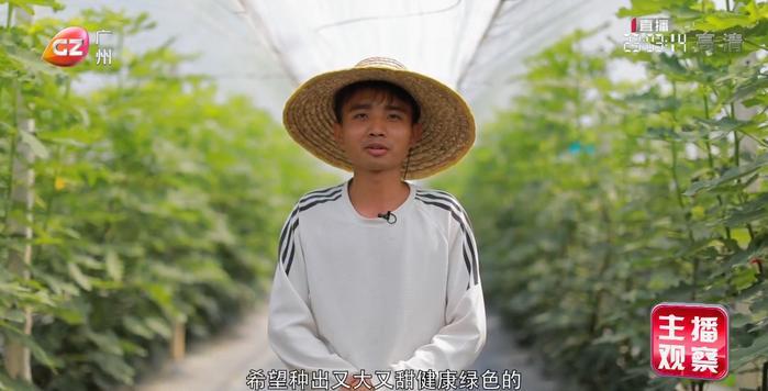增城走进全新农耕生活 乡村振兴正当时