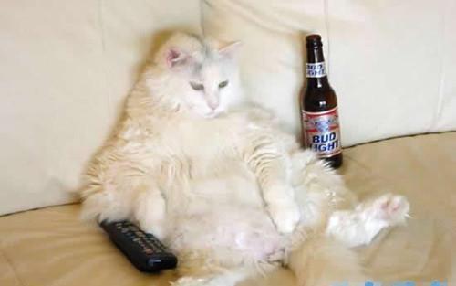 王思聪不知原因,开撕景甜背后的秘密!网友:个个都不简单