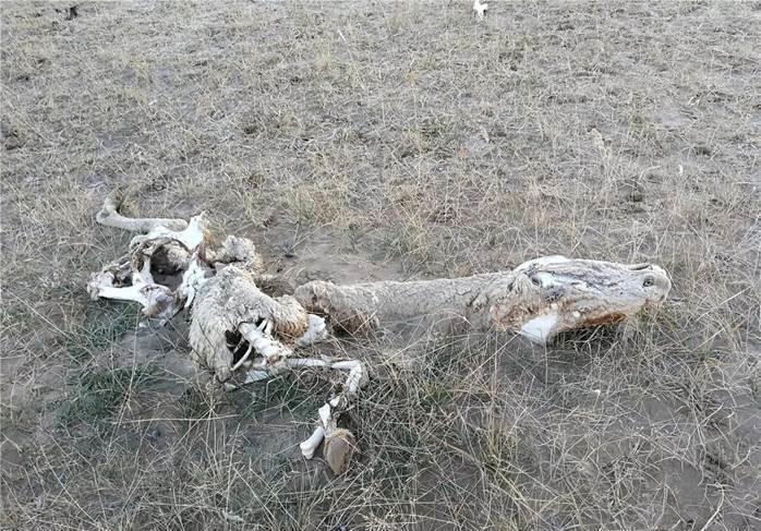 昆仑山有什么秘密，为何国家派重兵把守？原来是因为这件事！