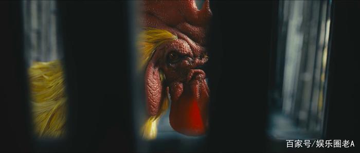 《怒晴湘西》怒晴鸡上线，能和人类一样眨眼，但死状非常惨烈！