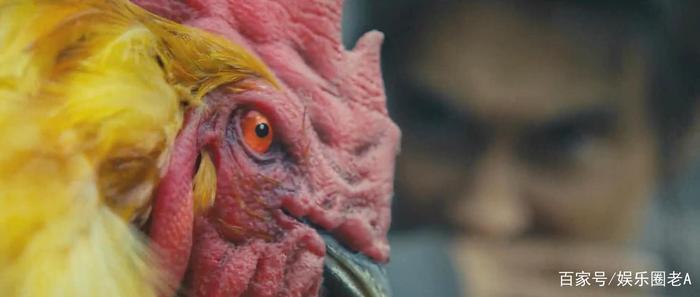 《怒晴湘西》怒晴鸡上线，能和人类一样眨眼，但死状非常惨烈！