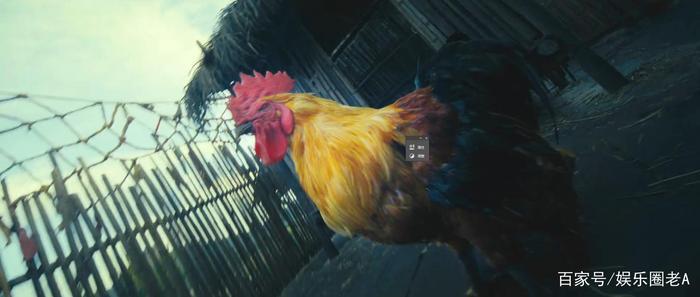 《怒晴湘西》怒晴鸡上线，能和人类一样眨眼，但死状非常惨烈！
