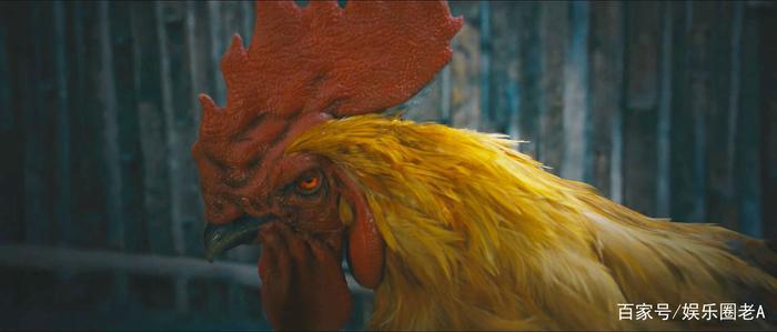 《怒晴湘西》怒晴鸡上线，能和人类一样眨眼，但死状非常惨烈！