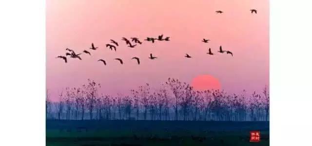 “醉卧沙场君莫笑,古来征战几人回?”有一种心灵震撼叫作边塞诗