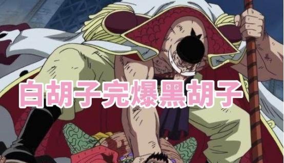 海贼王：白胡子海贼团“遗产”曝光，妻子为抢夺，追杀马尔科！