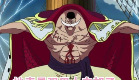 海贼王：白胡子海贼团“遗产”曝光，妻子为抢夺，追杀马尔科！