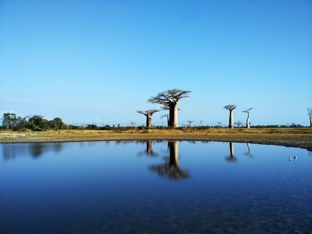 马达加斯加岛:世界第四大的岛屿