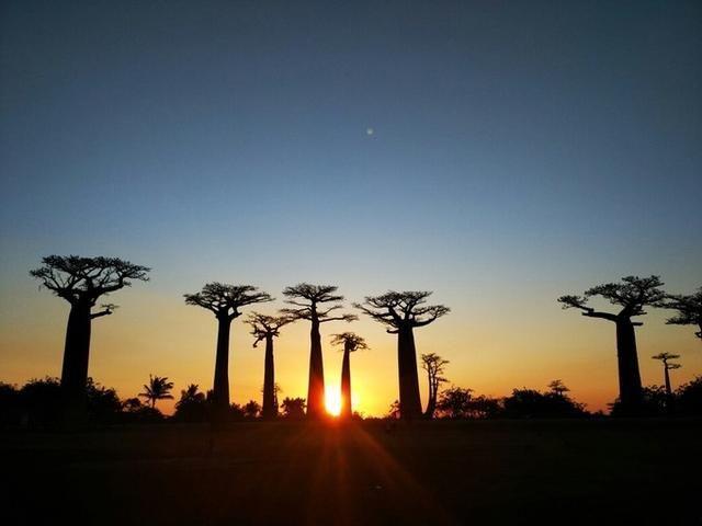 马达加斯加岛:世界第四大的岛屿