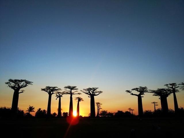 马达加斯加岛:世界第四大的岛屿