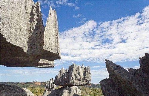 马达加斯加岛:世界第四大的岛屿