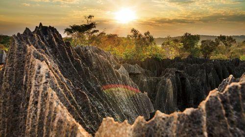 马达加斯加岛:世界第四大的岛屿