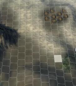 《三国志11》藏在地图里的异族地盘你知道多少?