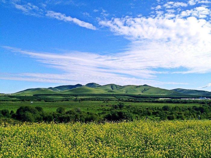河南有个拥有6.9万亩林海的“塞罕坝”，风景秀美，非常适合春游