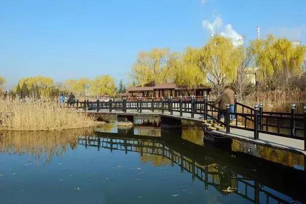 北京的古塔公园 ,一个被人遗忘的神秘之地