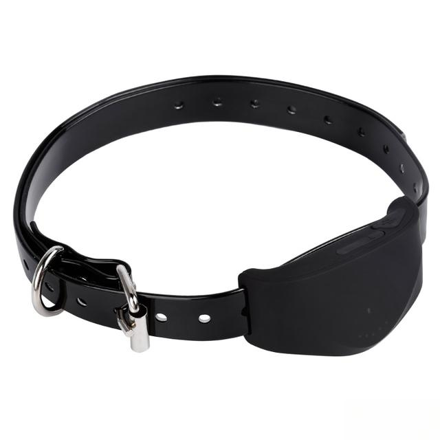 养宠神器宠物定位器哪个牌子好？如何挑选宠物GPS定位器？宠物定位器全面选购指南。-