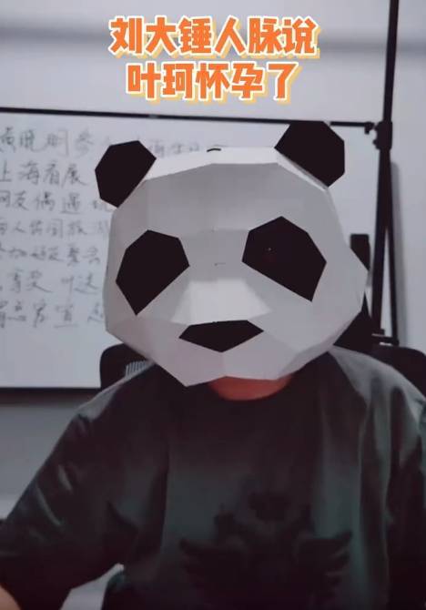 叶珂被曝已怀孕正养胎!疑曾与黄晓明做过产检抽血