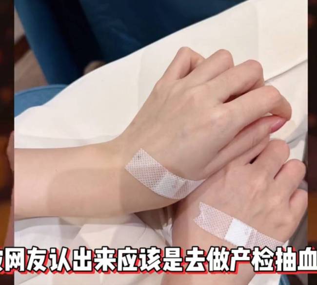 叶珂被曝已怀孕正养胎!疑曾与黄晓明做过产检抽血