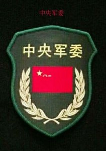 ​中国人民解放军历年来臂章系列之15式臂章(图)