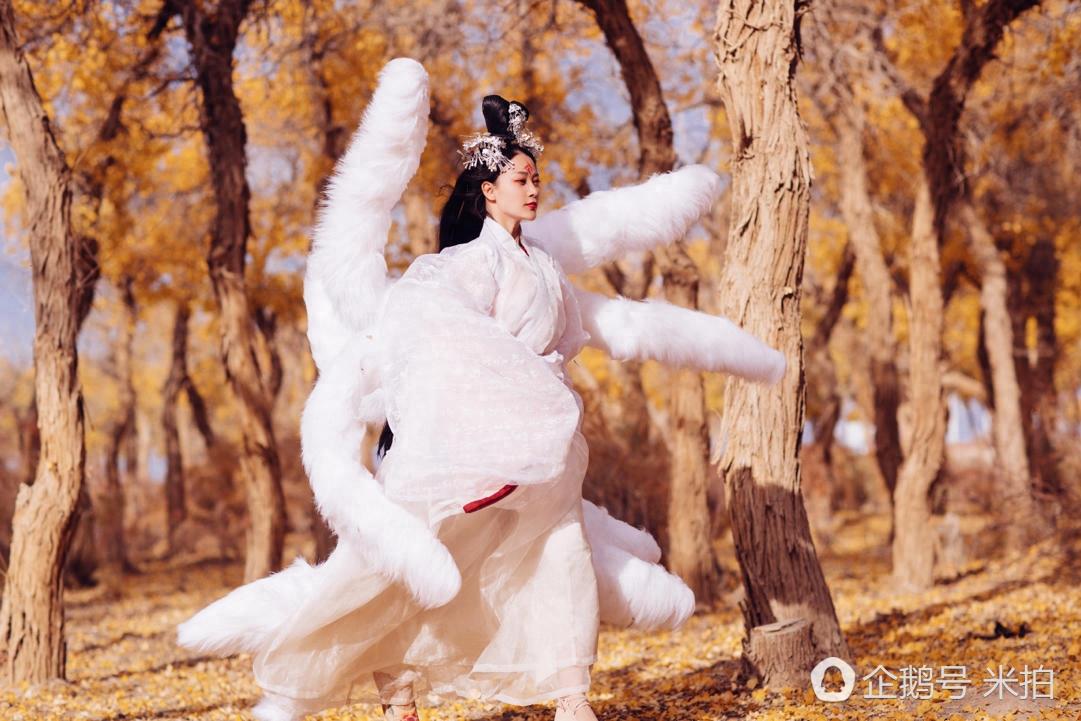 摄影师还原山海经中的可爱九尾狐，充满警惕且妖气十足！