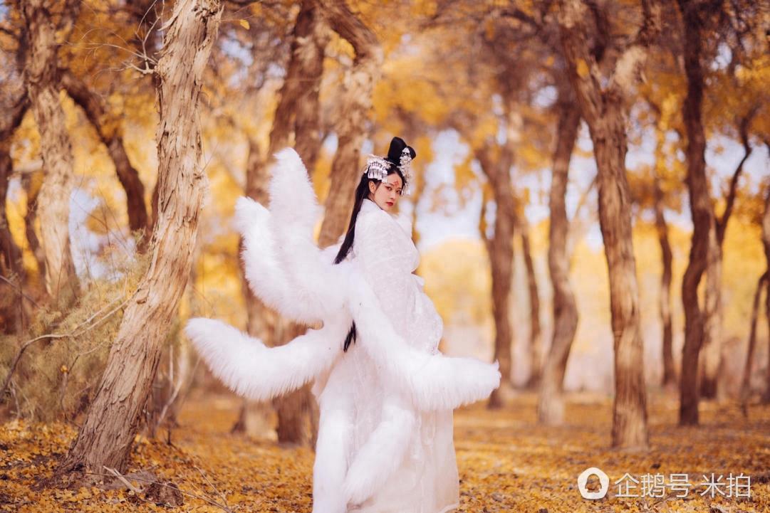 摄影师还原山海经中的可爱九尾狐，充满警惕且妖气十足！