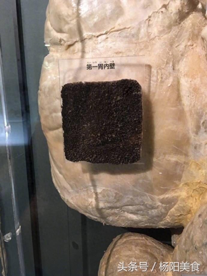 分不清牛肚有几种？看完这几张图你就知道！