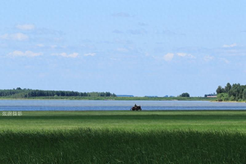 天蓝云白草绿,黑龙江最美草原在杜尔伯特,宛如画境