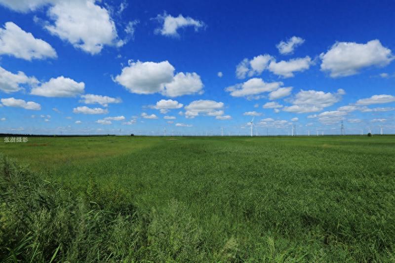 天蓝云白草绿,黑龙江最美草原在杜尔伯特,宛如画境