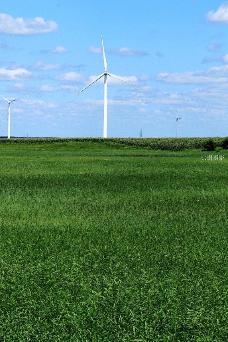 天蓝云白草绿,黑龙江最美草原在杜尔伯特,宛如画境