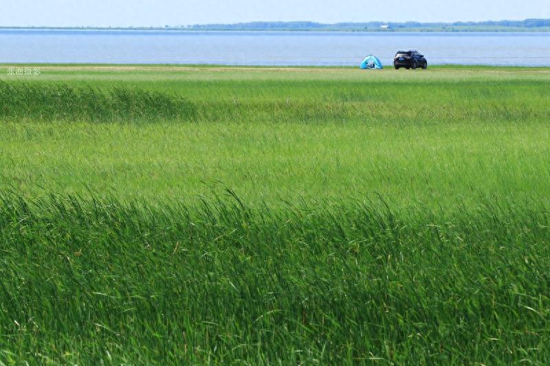 天蓝云白草绿,黑龙江最美草原在杜尔伯特,宛如画境