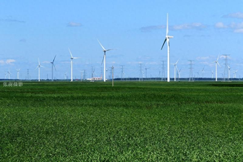 天蓝云白草绿,黑龙江最美草原在杜尔伯特,宛如画境