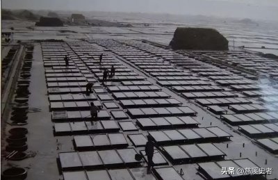 ​慈溪庵东镇-浙江盐都、小上海、体育强镇