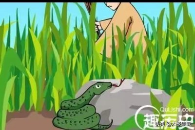 ​说一说“打草惊蛇”的成语故事