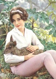 ​H版《人猿泰山》中奥黛丽·赫本的惊艳登场