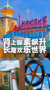 ​《夺命假期》：万圣节B级恐怖片的新星与血腥游戏揭秘