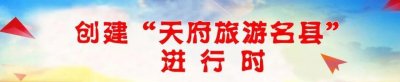 仪陇最新人事考试信息汇总!涉医师、事业单位工作人员...