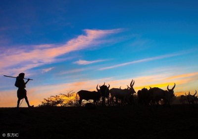 ​在野外迷路时怎么办？