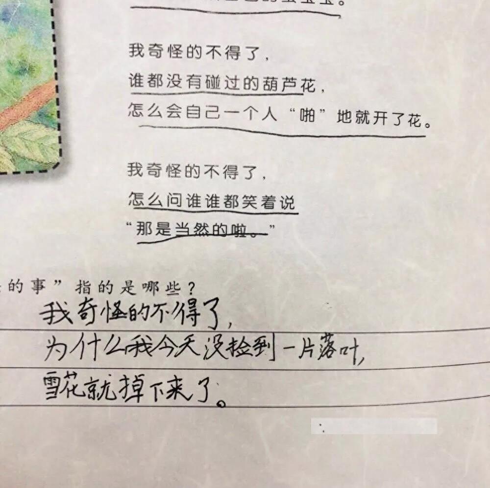 小学生神句:我奇怪得不得了!吃下香香的食物,却放出臭臭的屁?