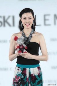 ​李嘉欣：从最美港姐到爱情岁月的动人传奇