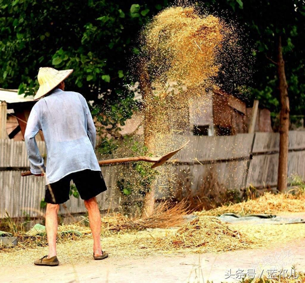 父亲的背影大合集，总有一张能勾起你对父亲的回忆