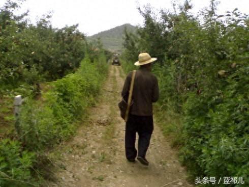 父亲的背影大合集，总有一张能勾起你对父亲的回忆