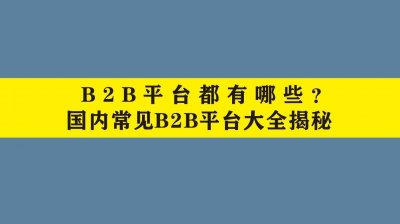 ​B2B平台都有哪些？国内常见B2B平台大全揭秘