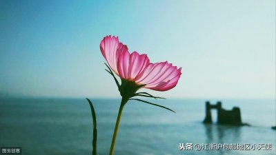​推一波强取豪夺文，古言居多