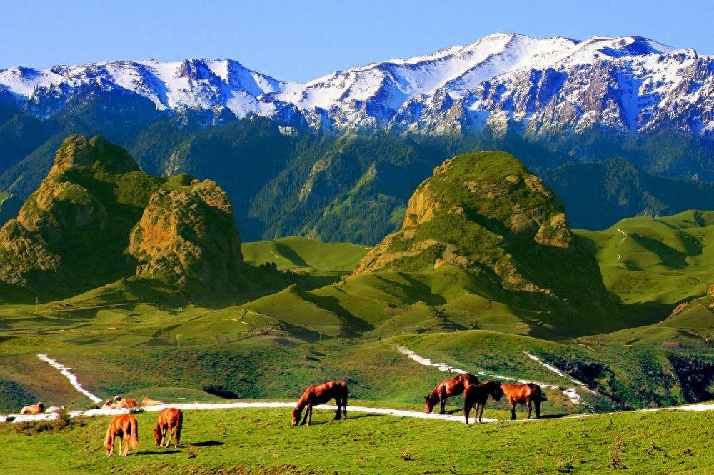 乌鲁木齐至郑州航线首航！初期投放9元“尝鲜价”机票！