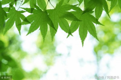 ​那些著名的当代散文家