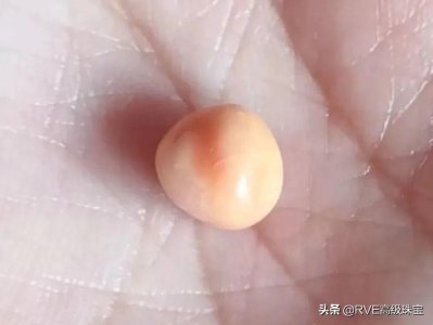 ​揭秘海螺珠：年产量不足900颗，比钻石还珍贵的稀世珍宝