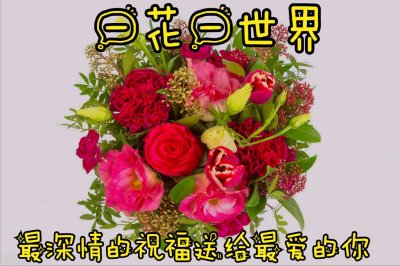 ​一花一世界，一花一开一春天，最深情的祝福，送给心中最爱的你
