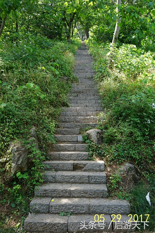 南京:老山森林公园